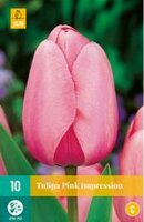 Tulipa pink impression 10st