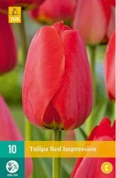 Tulipa red impression 10st