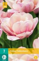 Tulipa tabledance 7st