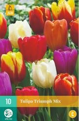 Tulipa triumph mix 10st